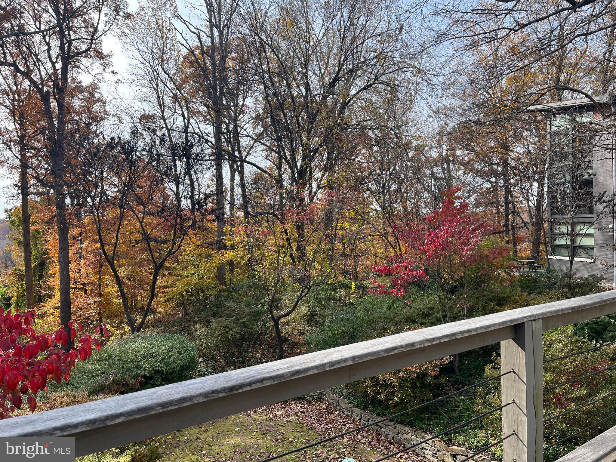 TULIP HILL - Residential