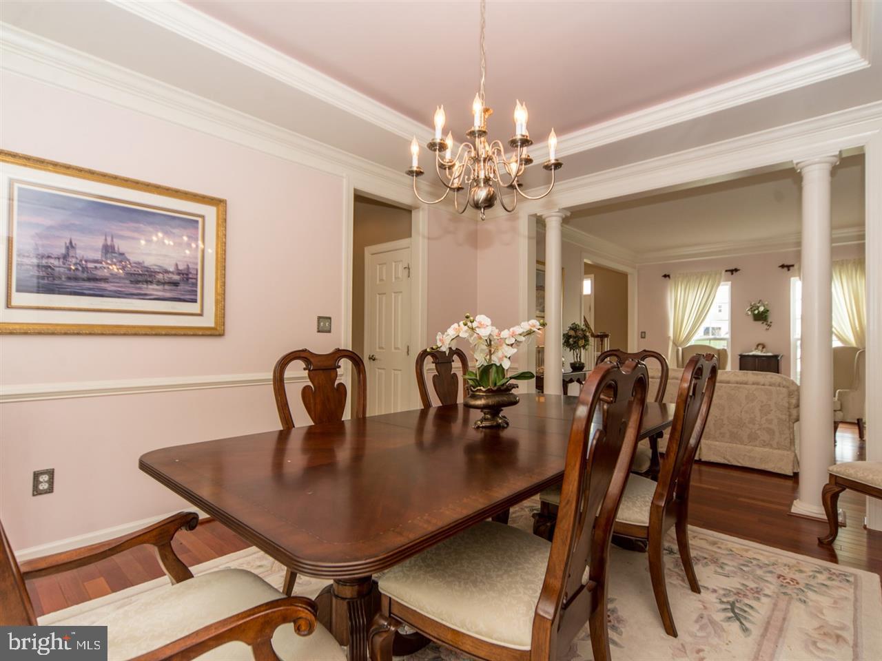 SOUTH POINTE - Residential