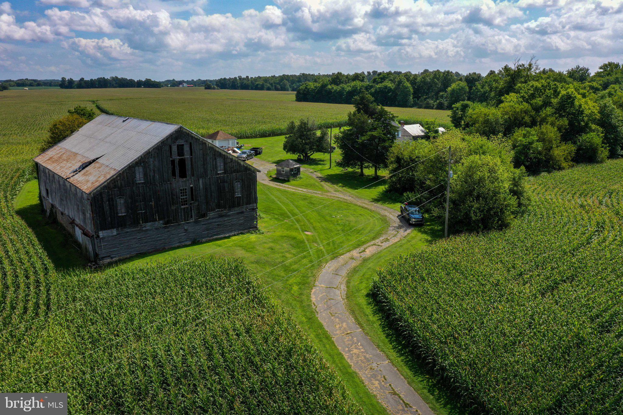 837 BIG MOUNT ROAD
