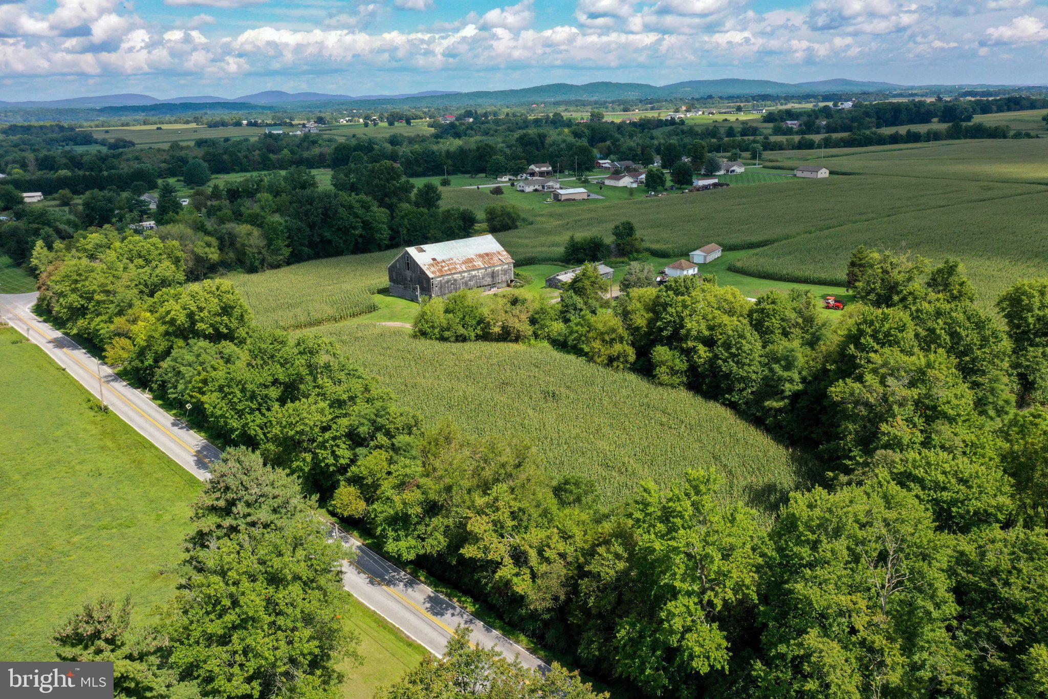 837 BIG MOUNT ROAD