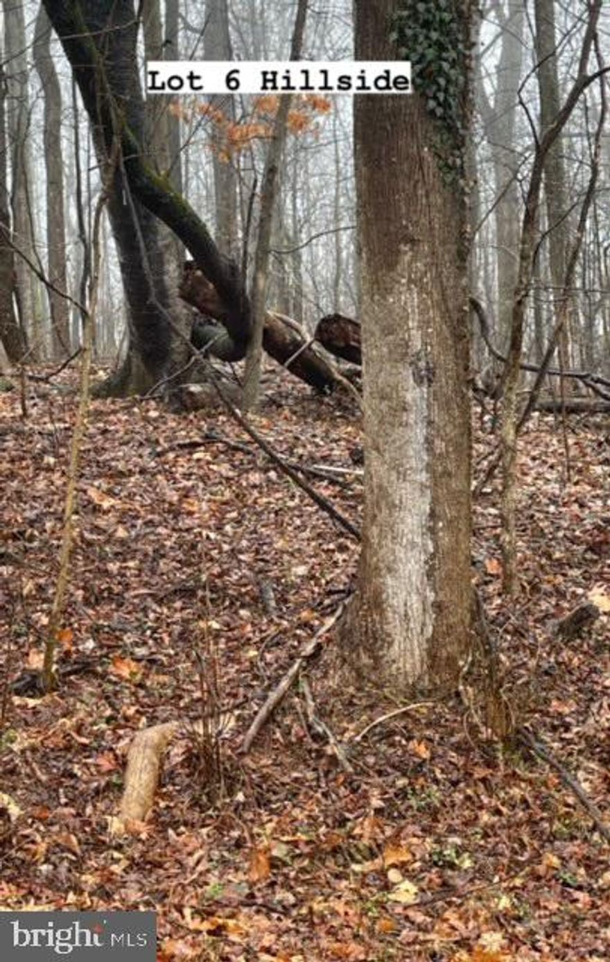 Hard to find 3.22 acre wooded building lot less than a mile from Rt. 29 on the DC side of Warrenton (New Baltimore area).Please see documents section for rough plat info.