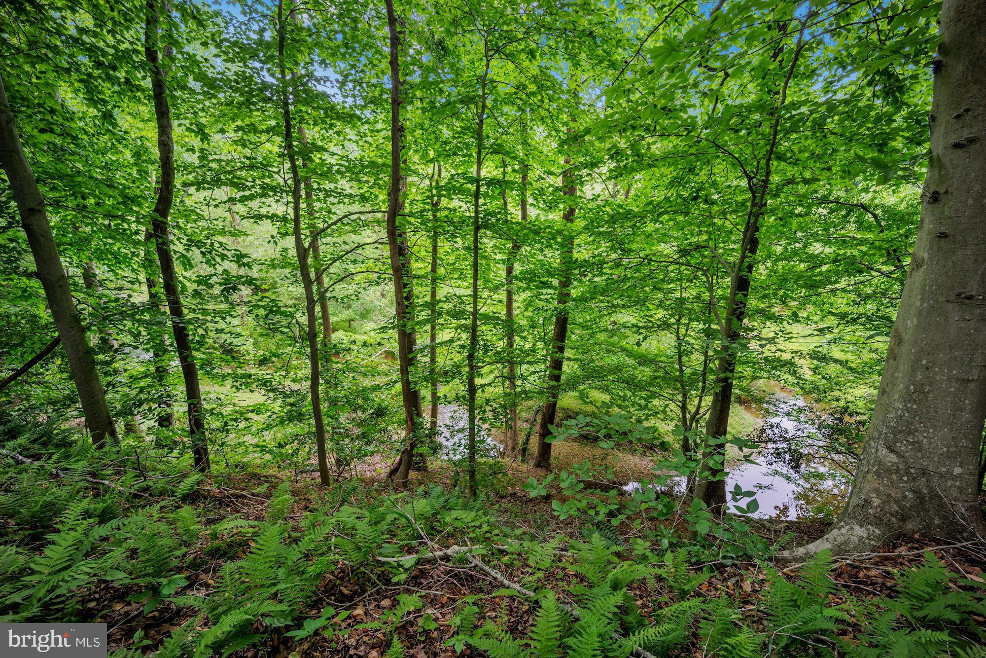 GRAYSTONE ESTATES - Residential