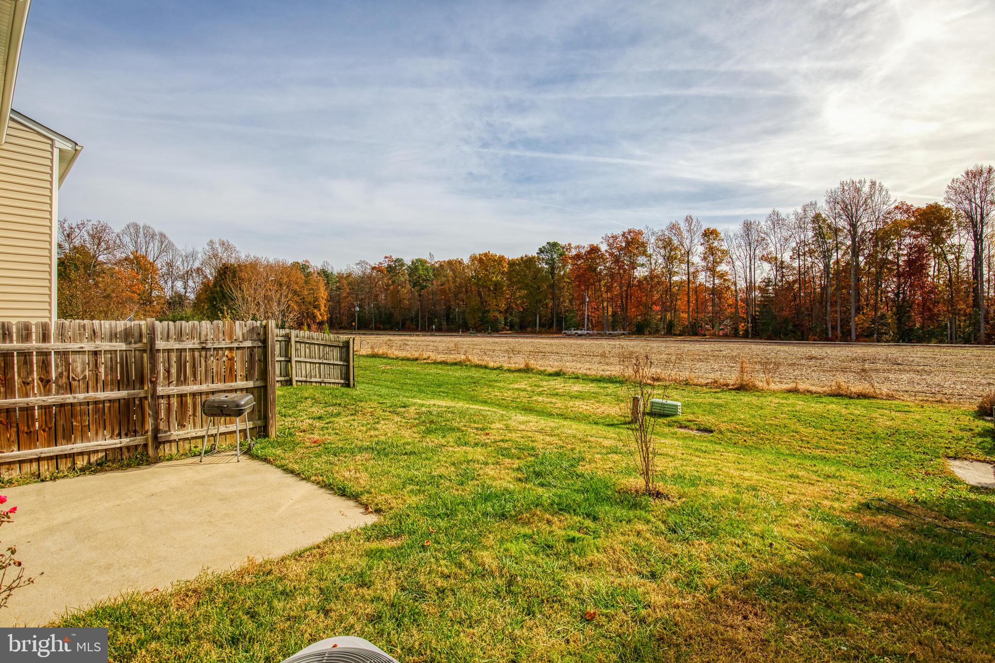 BLUFFS AT BELL CREEK - Residential