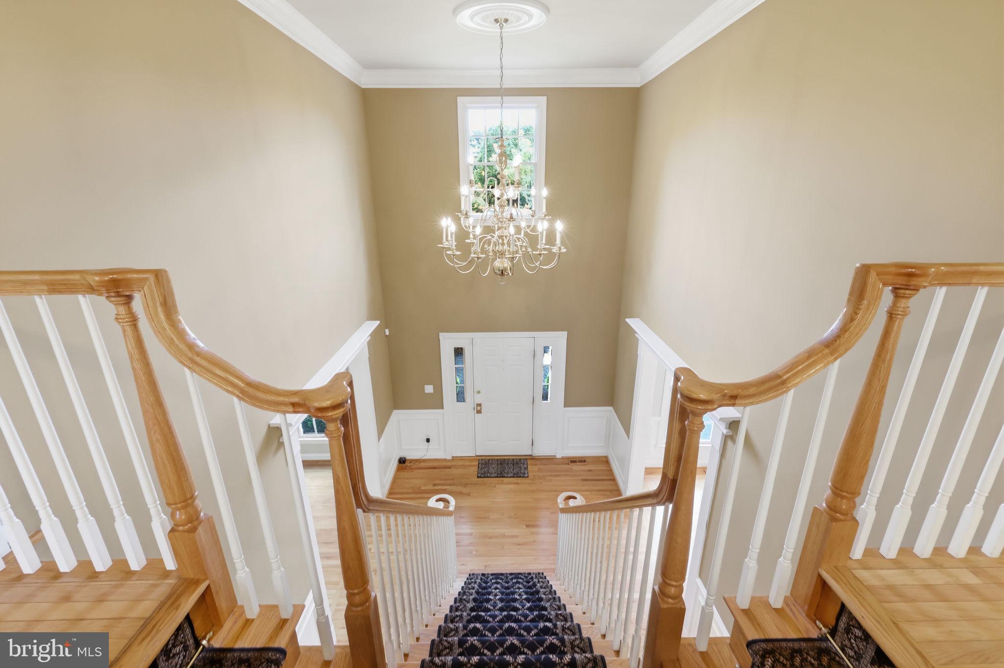 DOLINGTON ESTATES - Residential