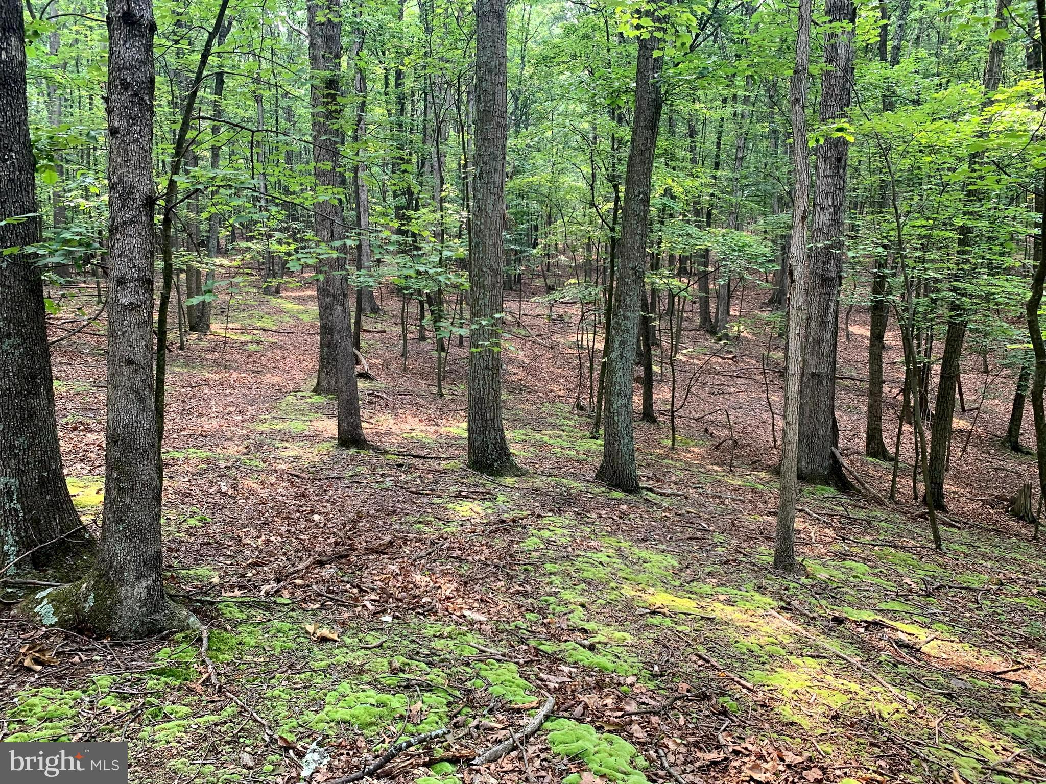 EAGLE MOUNTAIN - Land