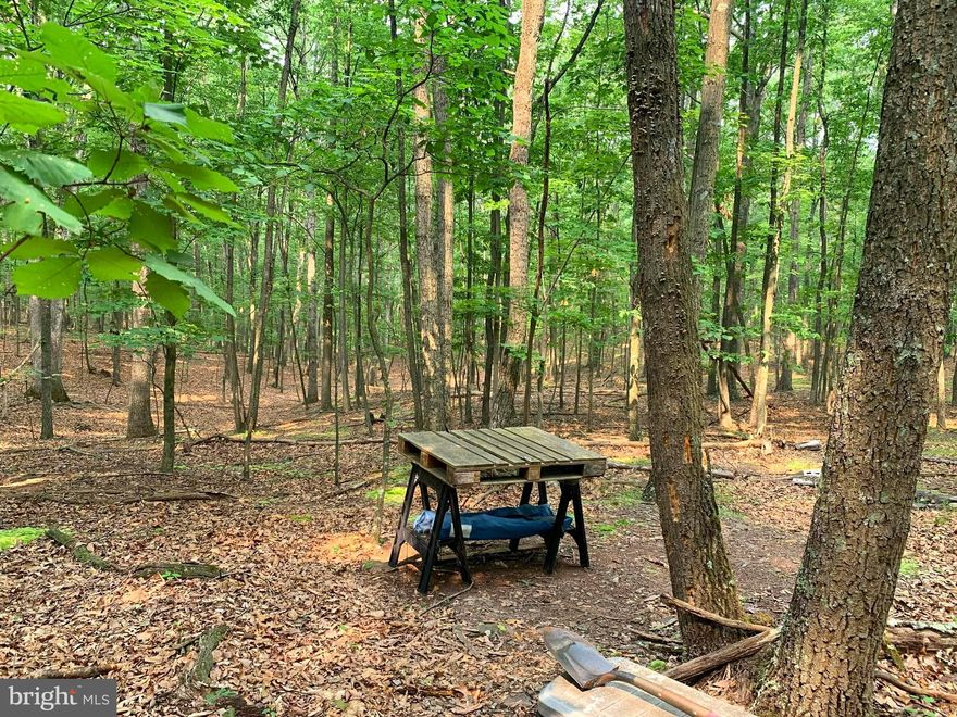 JUST LIKE A OREO COOKIE, THE BEST PART IS IN THE MIDDLE; GET YOUR FILL OF TOWERING HARDWOODS AND WHITE OAKS IN A PARKLIKE SETTING, LOADED WITH GAME. PERFECT FOR RECREATIONAL, RESIDENTIAL, CAMPING HUNTING, AND ATV RIDING ARE ONLY A FEW THINGS OFFERED IN THIS INCREDIBLE LAND DEAL. THE SECRET INGREDIENT ARE ON THE INSIDE. SURROUNDED BY HILLS AND HOLLOWS, EASY TO GET TOO HARD FIND. THIS IS A NO-BRAINER FOR SOMEONE LOOKING FOR THE JUST-RIGHT PROPERTY AT THE JUST-RIGHT PRICE. THE OWNER IS MOTIVATED TO MAKE SOMEONE AS HAPPY AS THIS PROPERTY HAS MADE THEM.PUT A SMILE ON YOUR FACE, LACE UP YOUR HIKING SHOES, AND TAKE A WALK WITH ME.