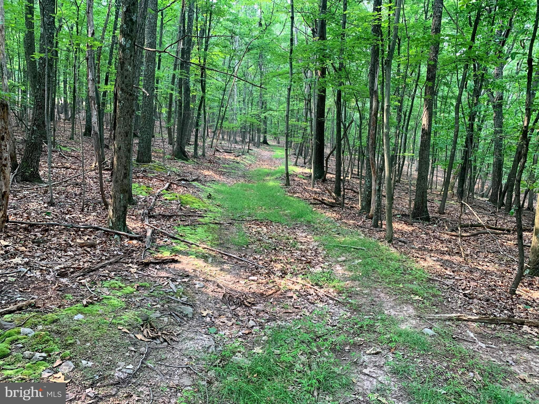 EAGLE MOUNTAIN - Land