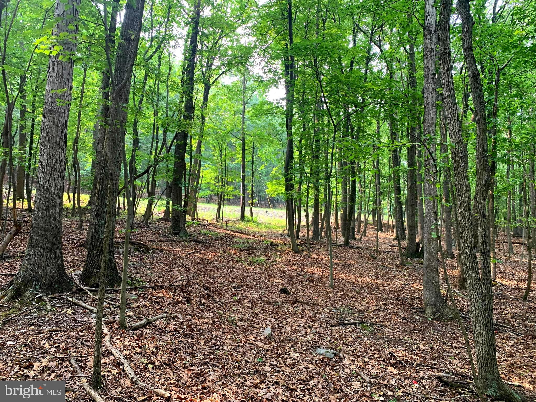 EAGLE MOUNTAIN - Land