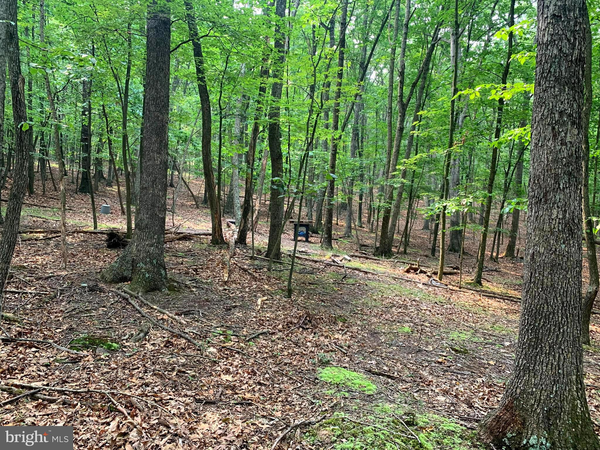 EAGLE MOUNTAIN - Land