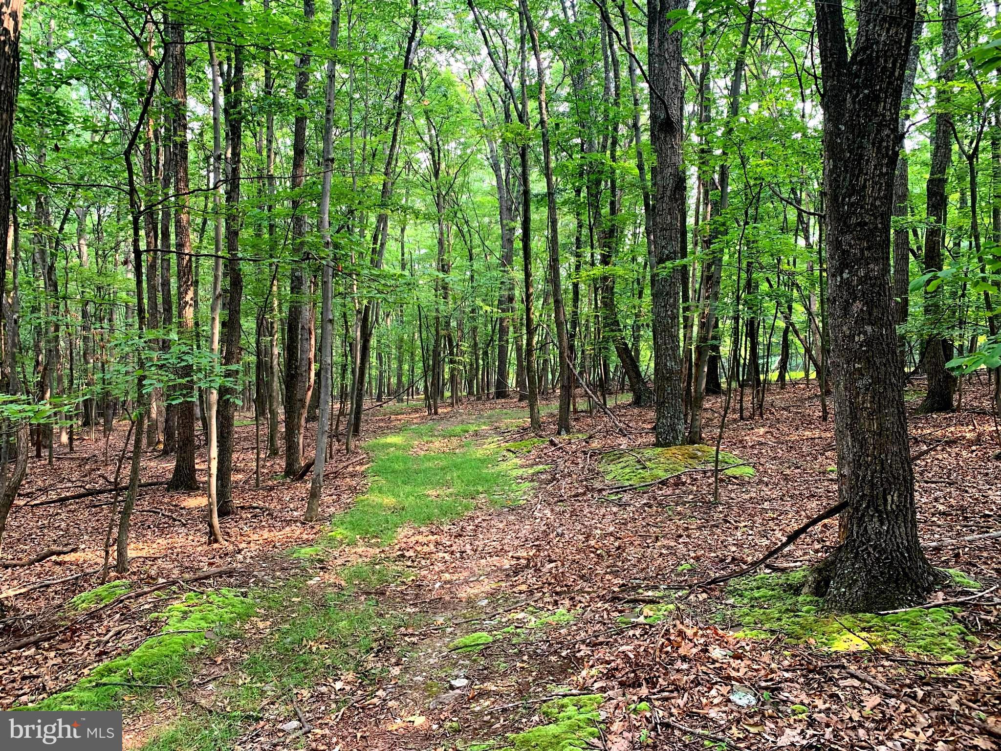 EAGLE MOUNTAIN - Land