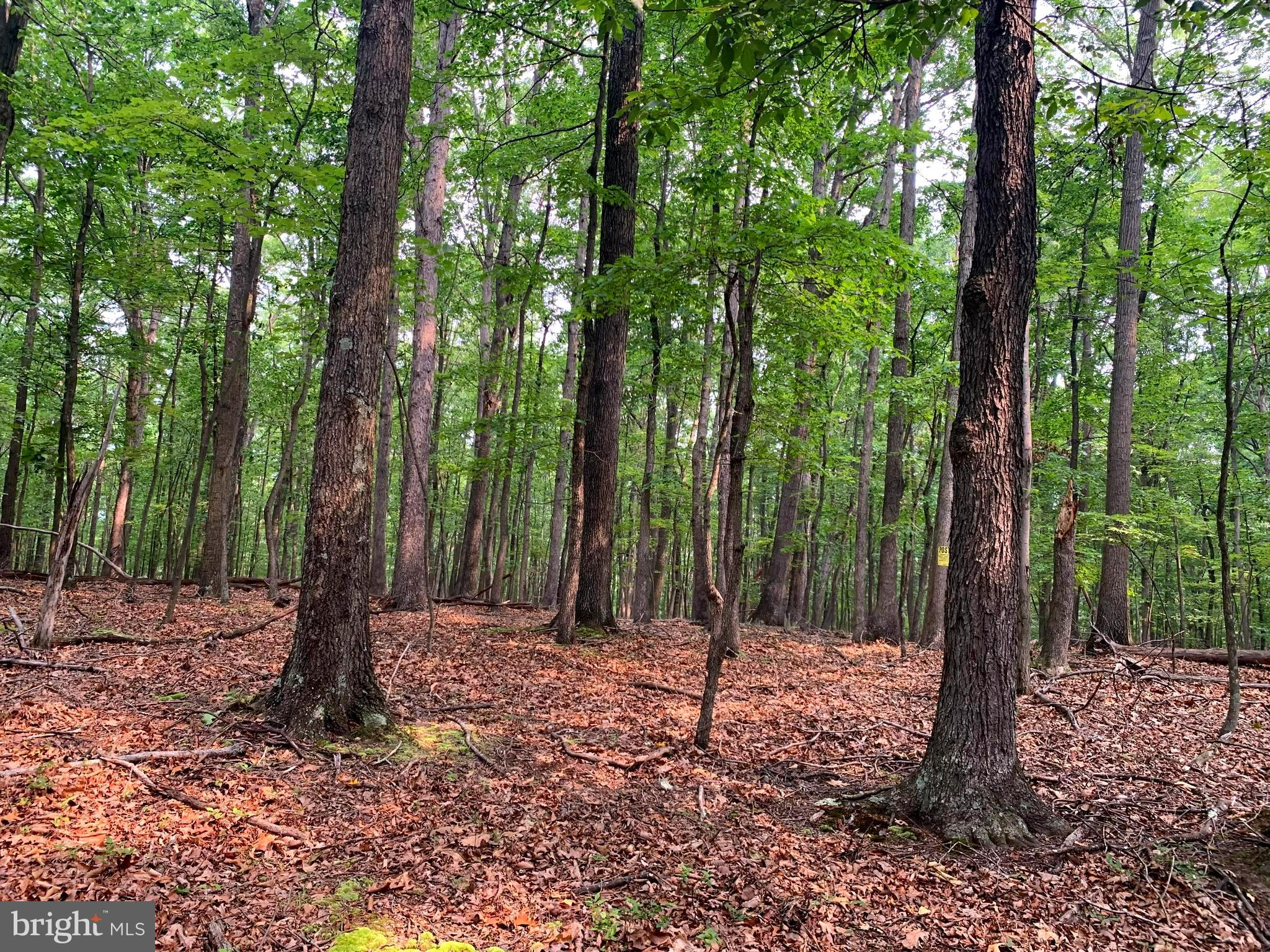 EAGLE MOUNTAIN - Land