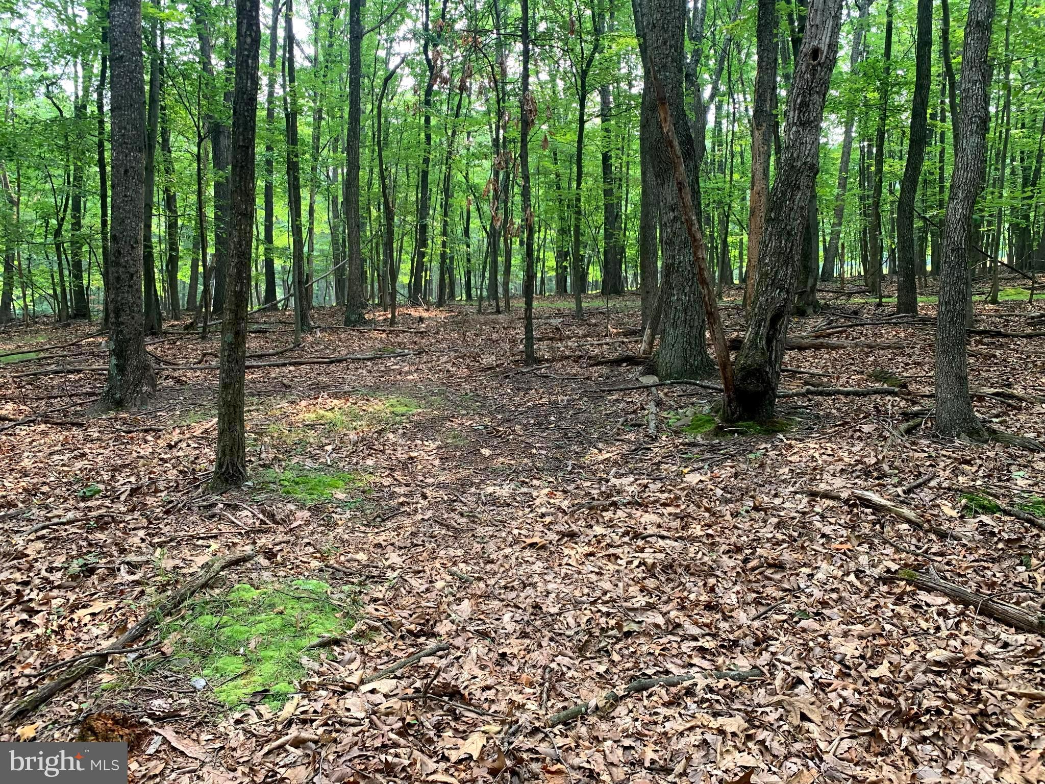 EAGLE MOUNTAIN - Land