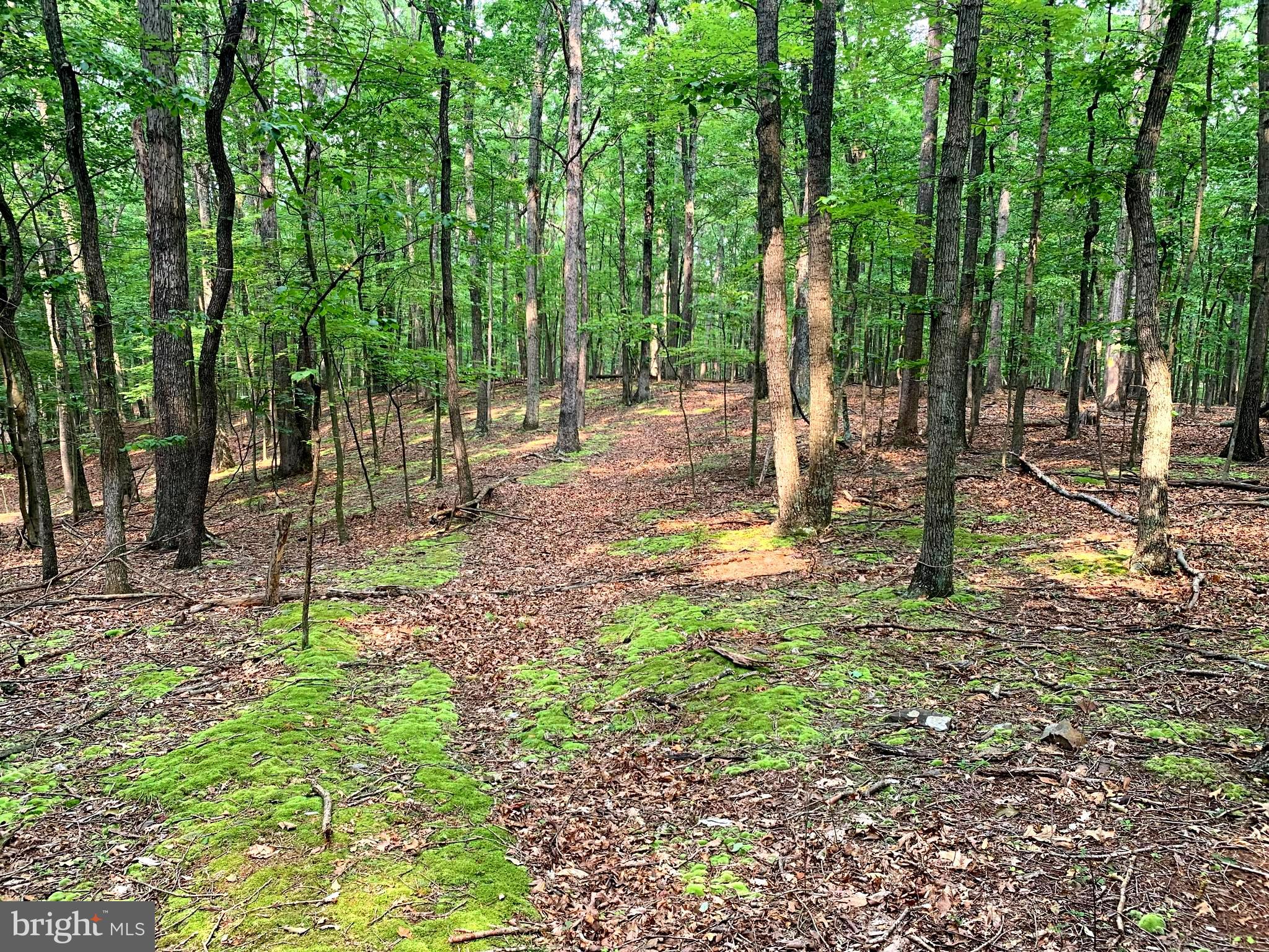 EAGLE MOUNTAIN - Land