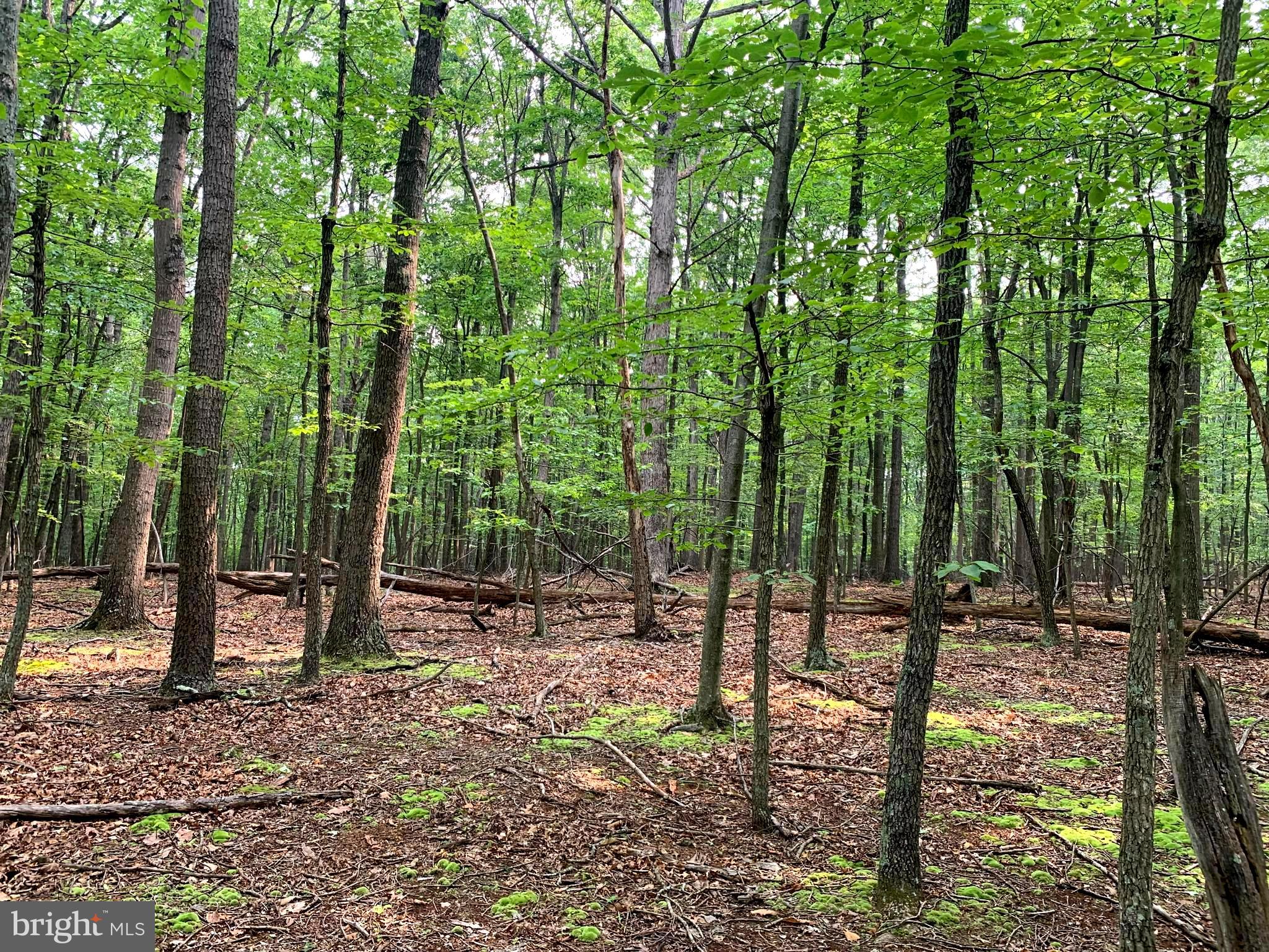 EAGLE MOUNTAIN - Land