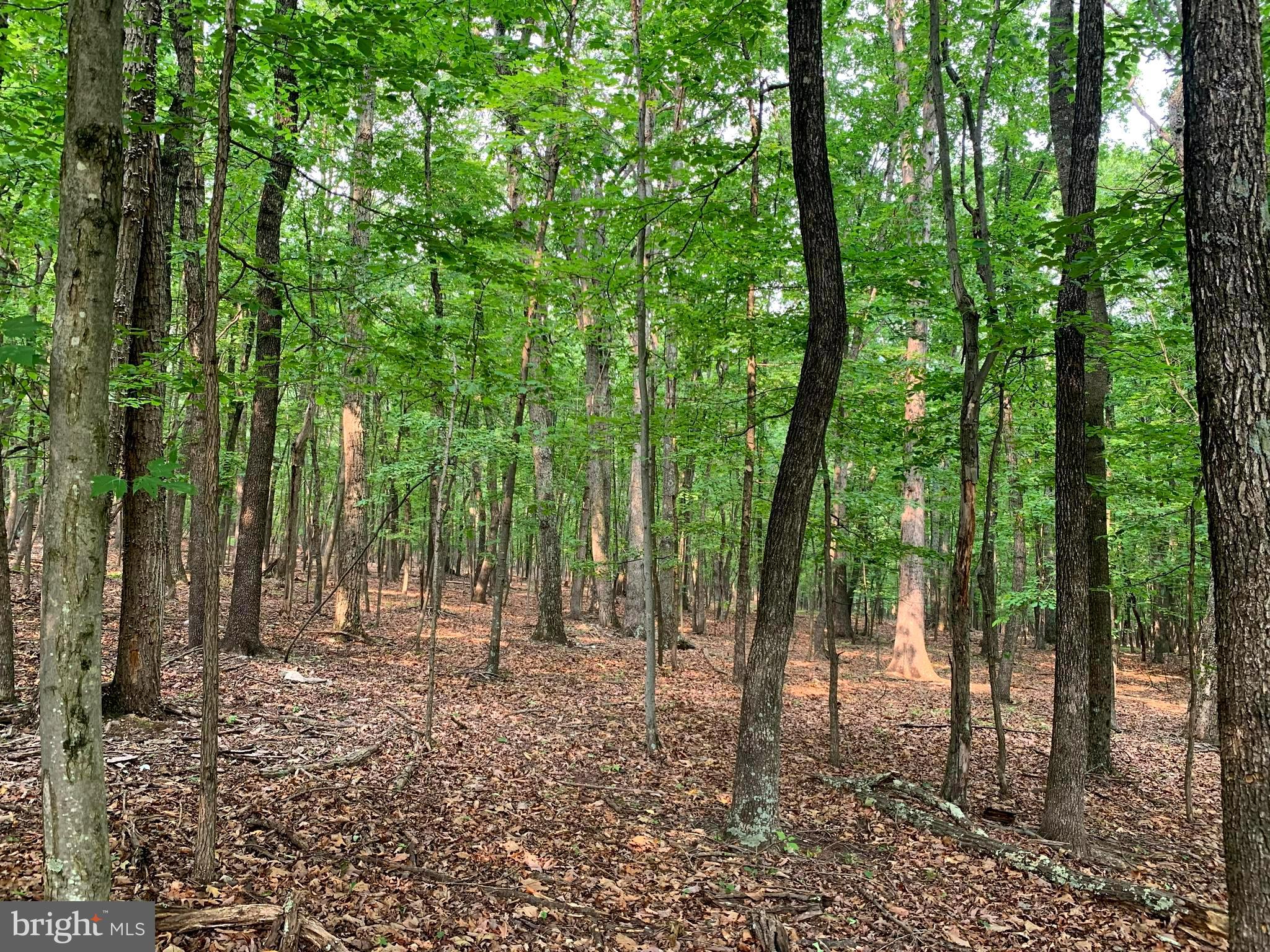 EAGLE MOUNTAIN - Land