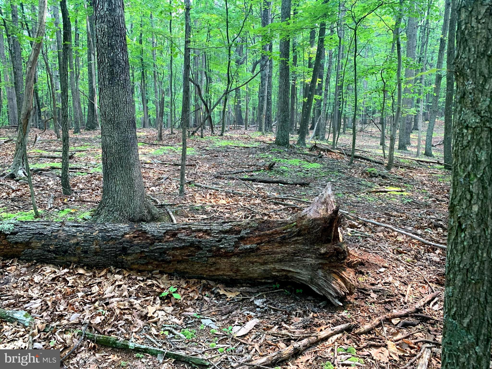 EAGLE MOUNTAIN - Land