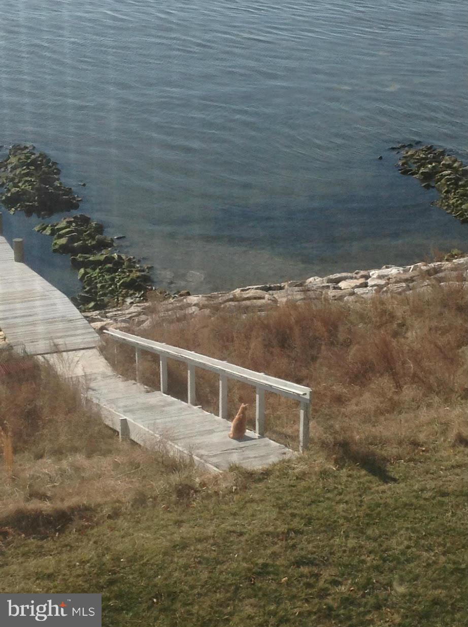 PLEASANT PLAINS - Land