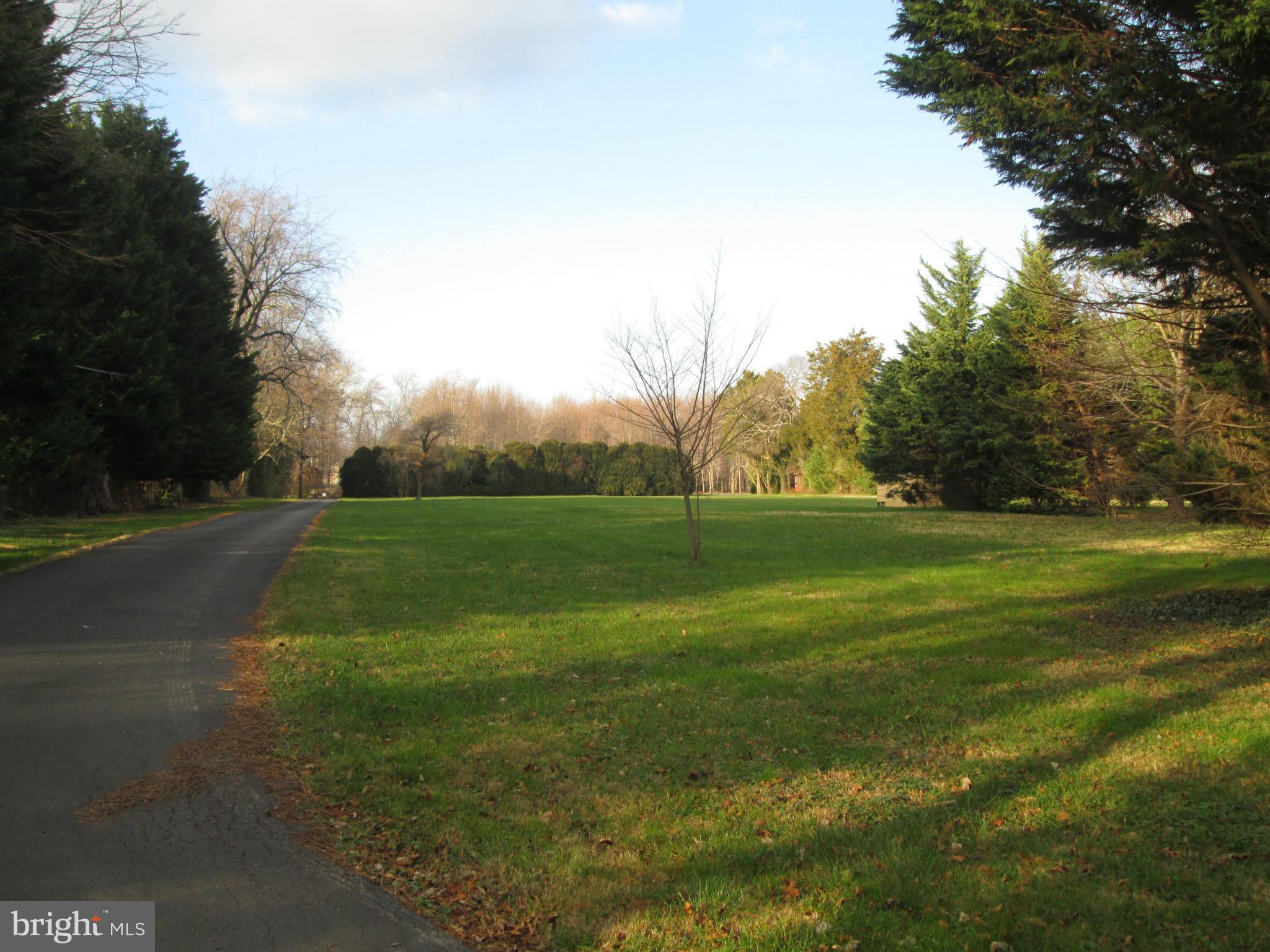 PLEASANT PLAINS - Land