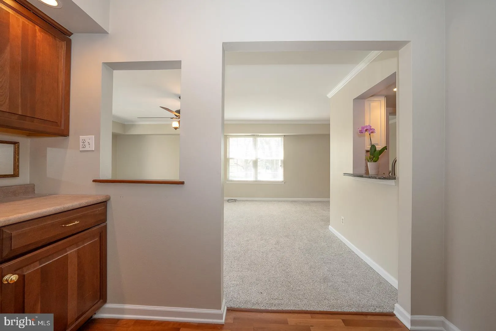 Wayne, Pennsylvania 19087, United States, 1 Bedroom Bedrooms, ,1 BathroomBathrooms,Residential,Active,116926