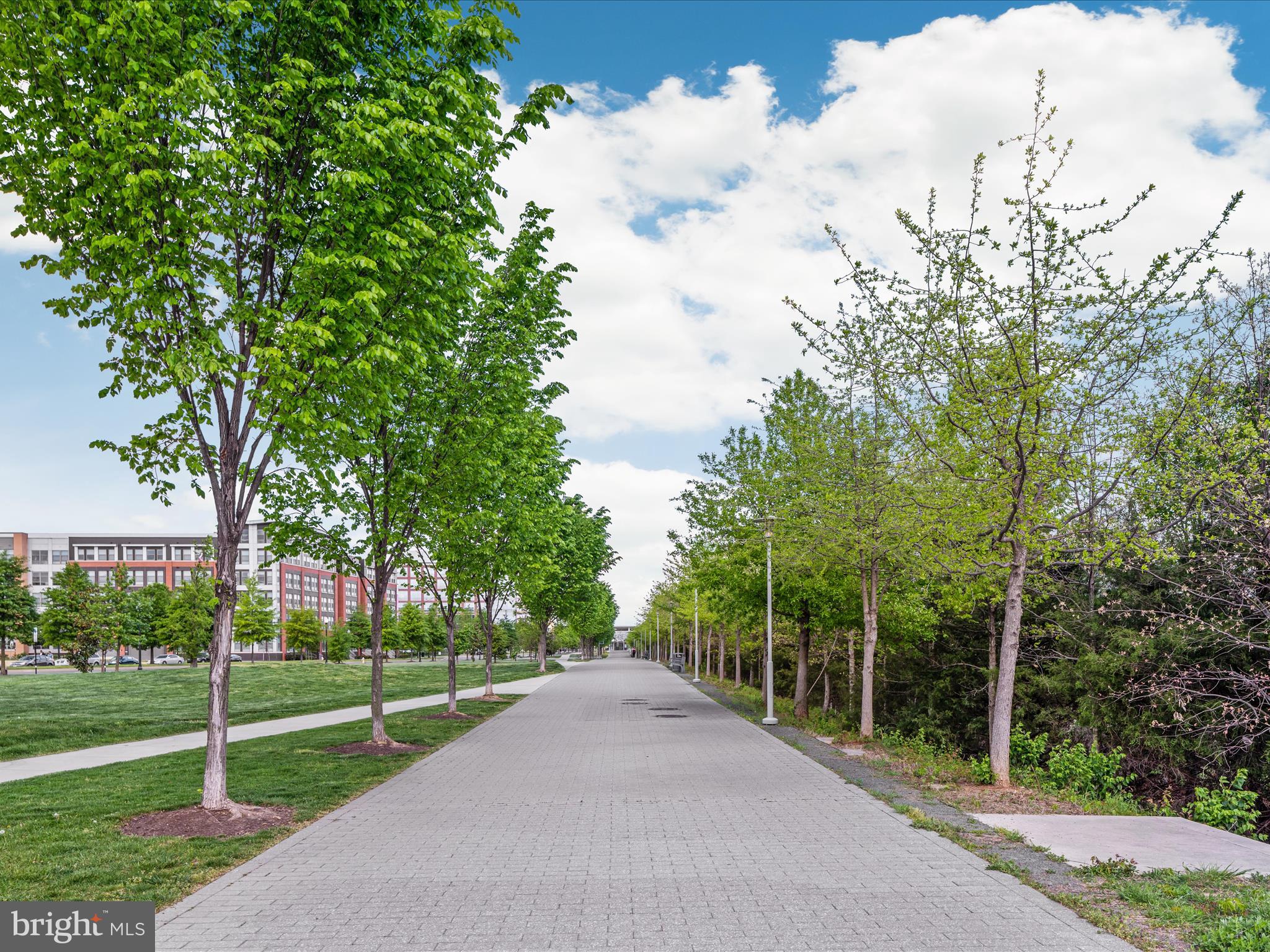 POTOMAC YARD - Residential