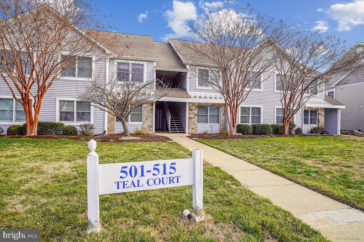 BAYSIDE - Residential Lease