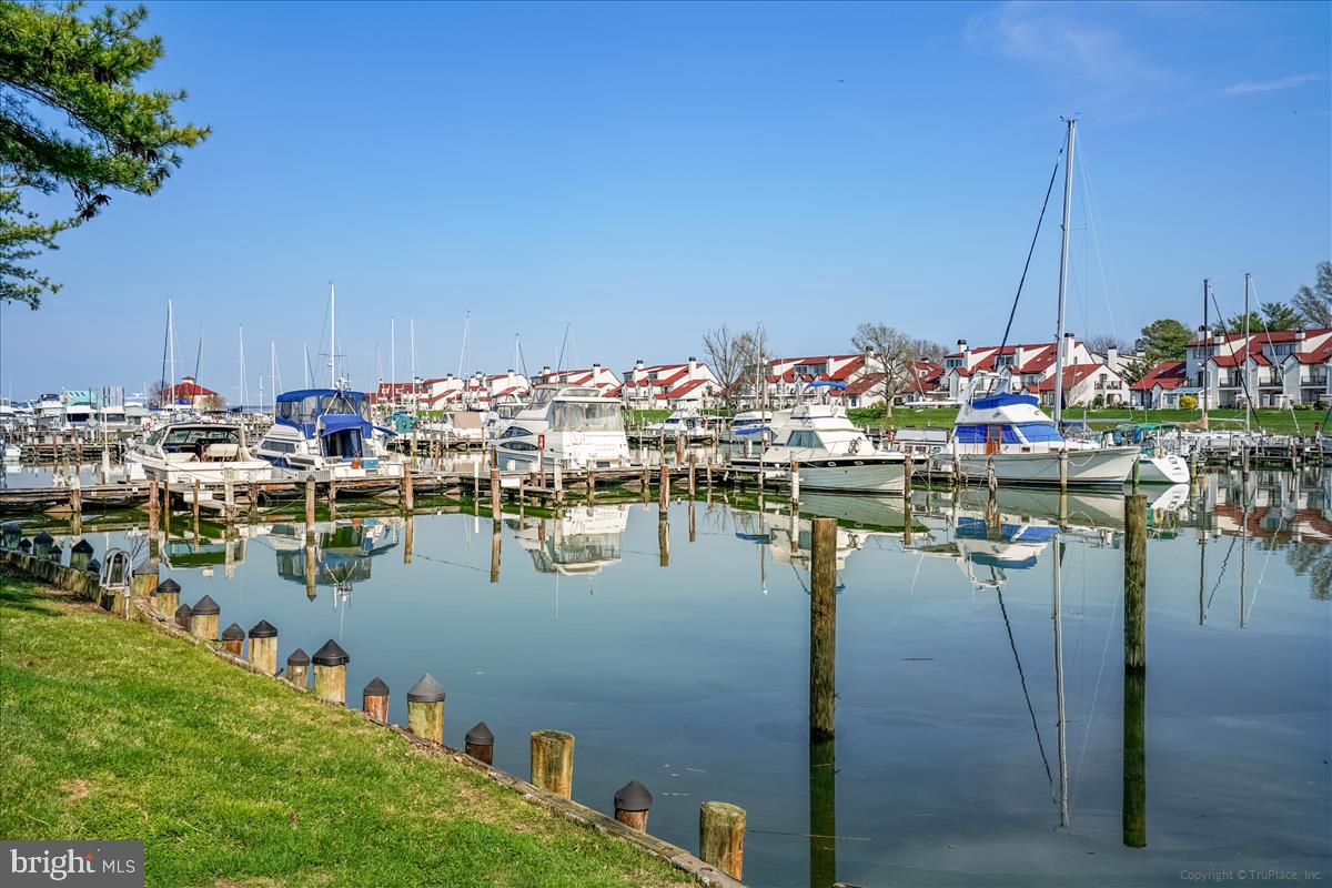 BAYSIDE - Residential Lease