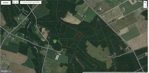 LAUREL GROVE FEDERALSBURG MD 21632