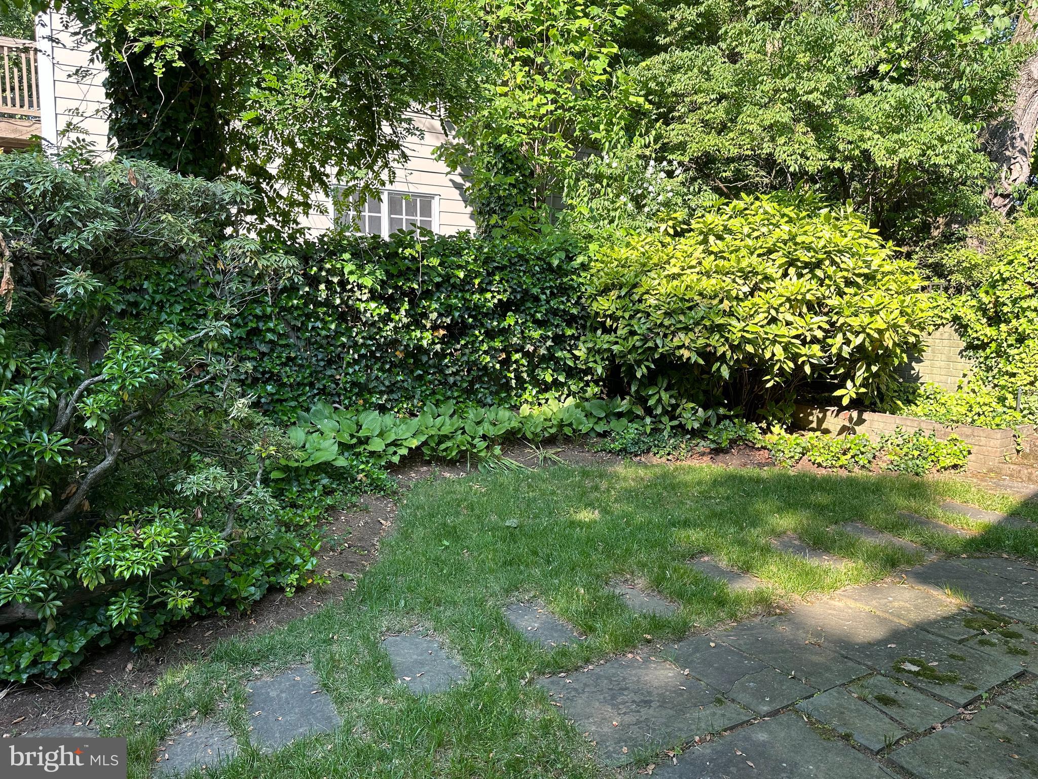 NORTH CHEVY CHASE - Residential