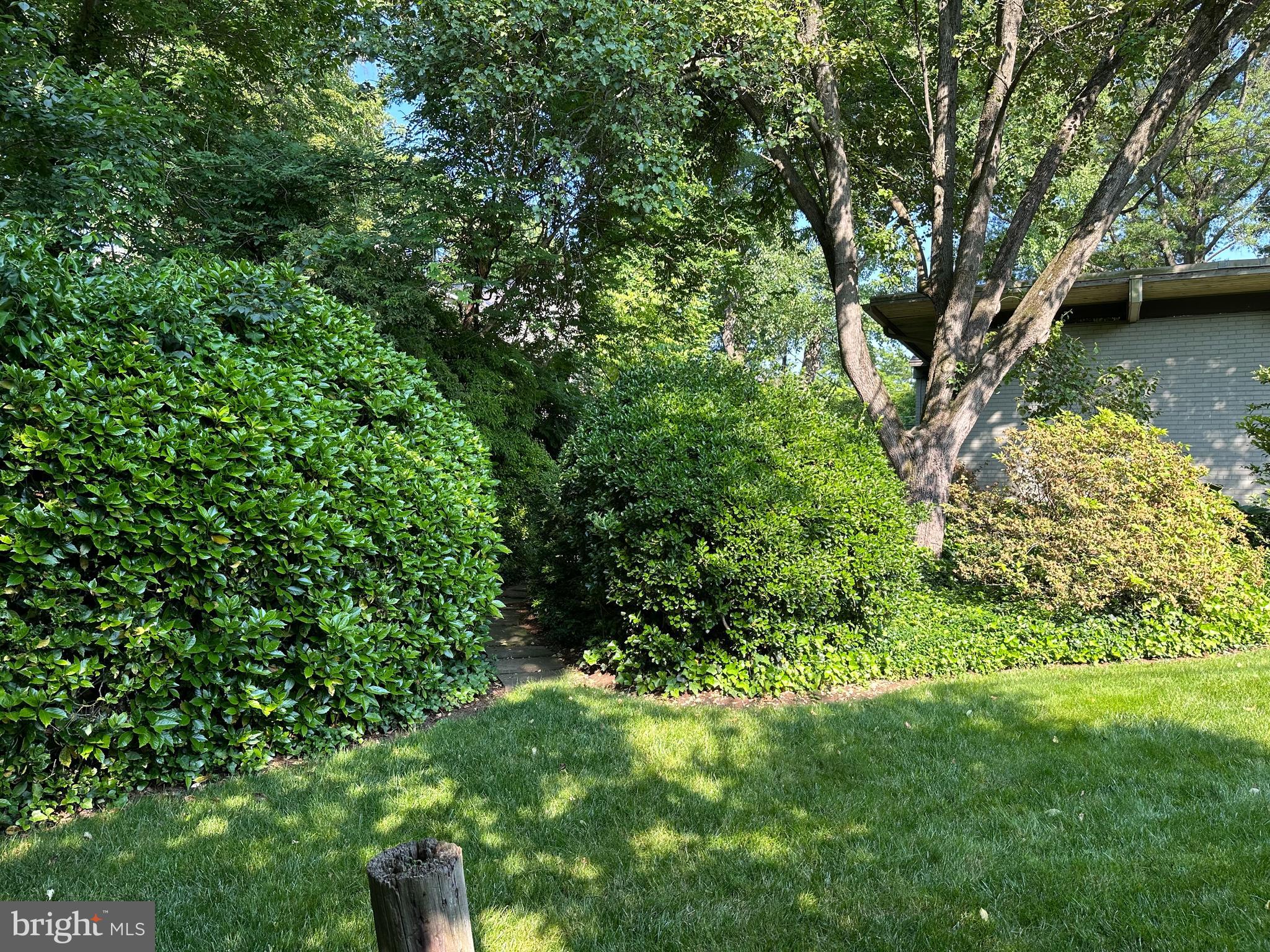 NORTH CHEVY CHASE - Residential