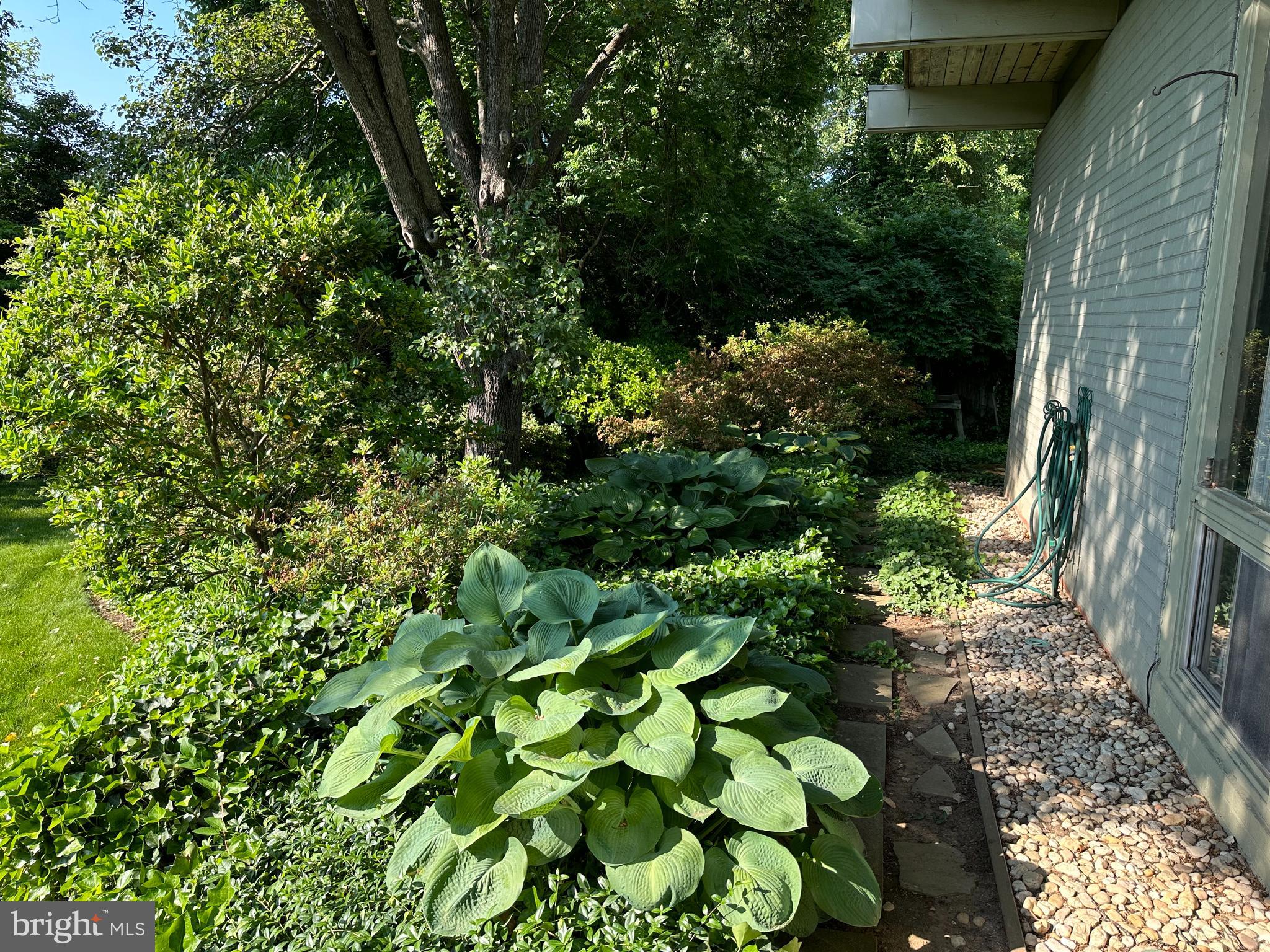 NORTH CHEVY CHASE - Residential