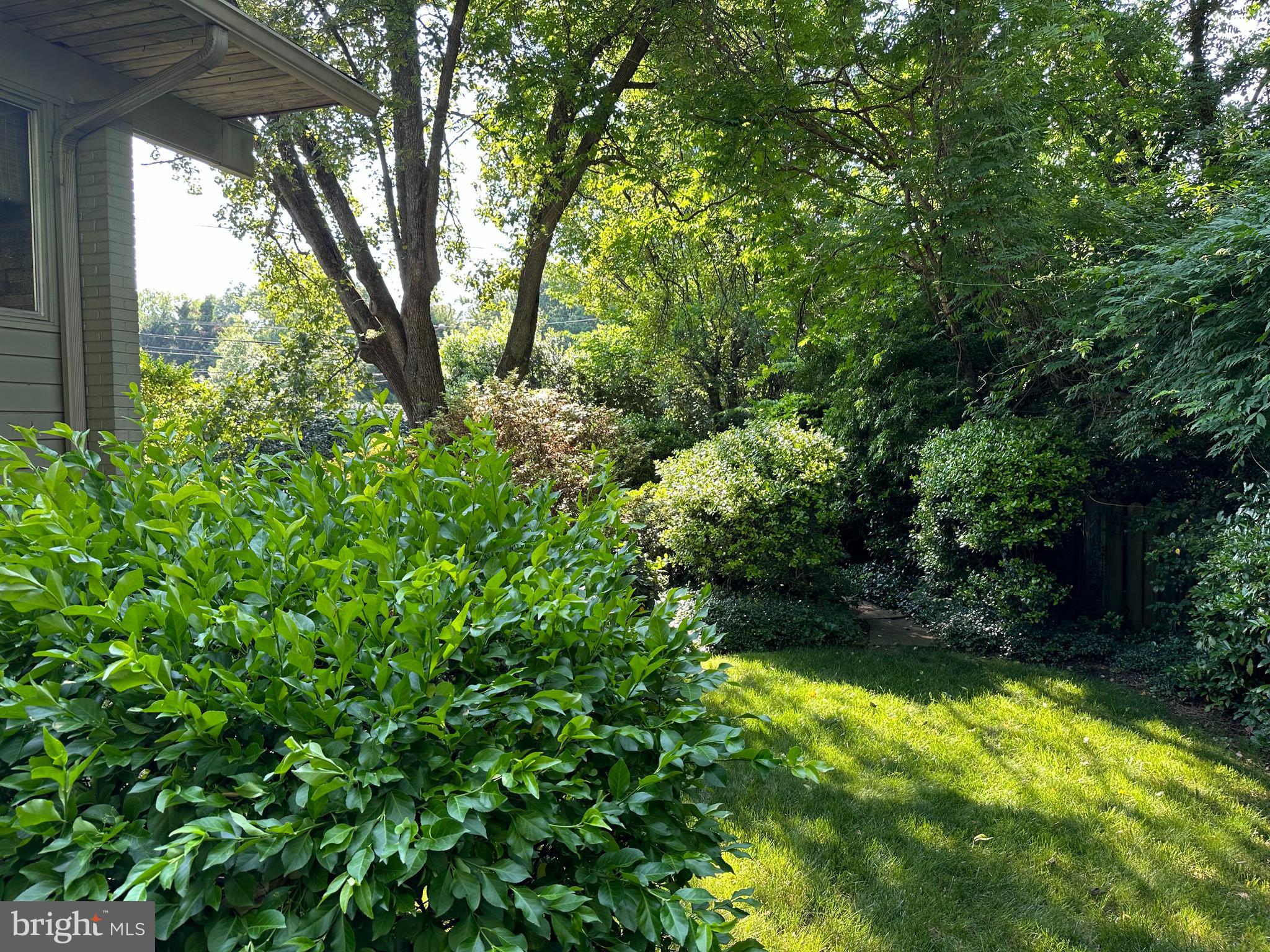 NORTH CHEVY CHASE - Residential