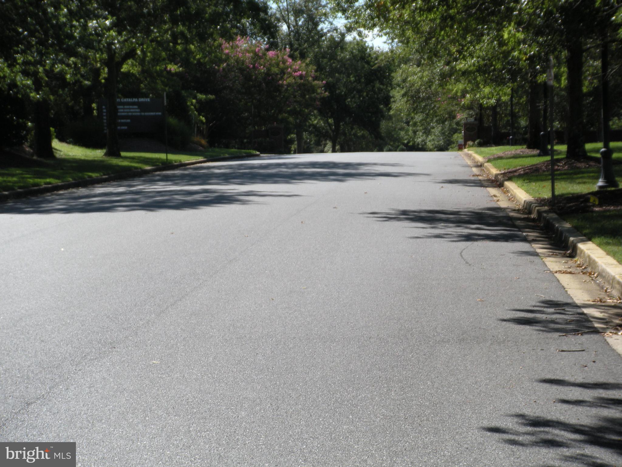 THE VILLAGES OF STEEPLECHASE - Residential Lease