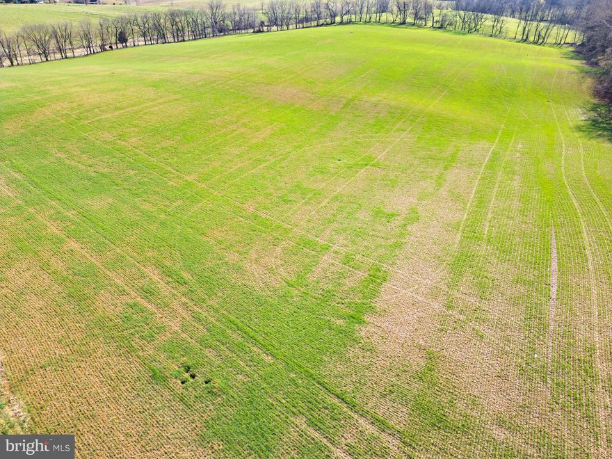 Discover the perfect blend of space and serenity on this stunning just shy of 20-acre lot, ready for you to bring your vision to life. With pastoral views extending in every direction, this property offers a peaceful retreat while still being conveniently located. Previously perked, it's primed for your dream home, farm, or getaway. The possibilities are endless—shape this gorgeous canvas into your own personal paradise! 
Don’t miss this rare opportunity—schedule a visit today!