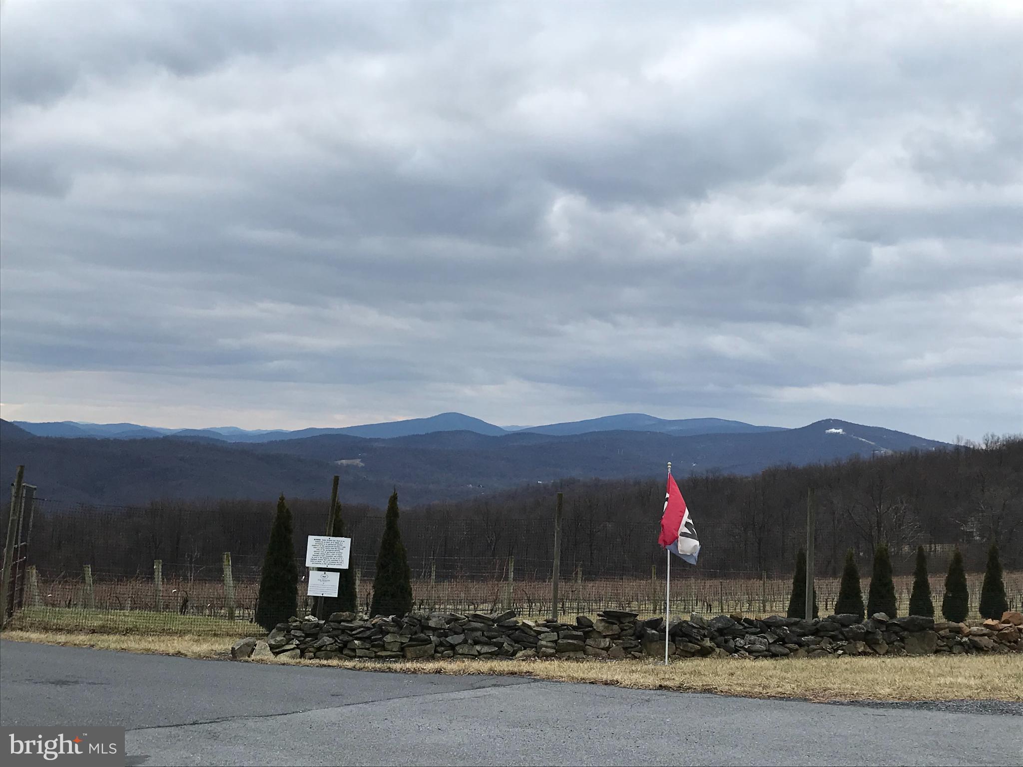 BLUE MOUNTAIN - Residential
