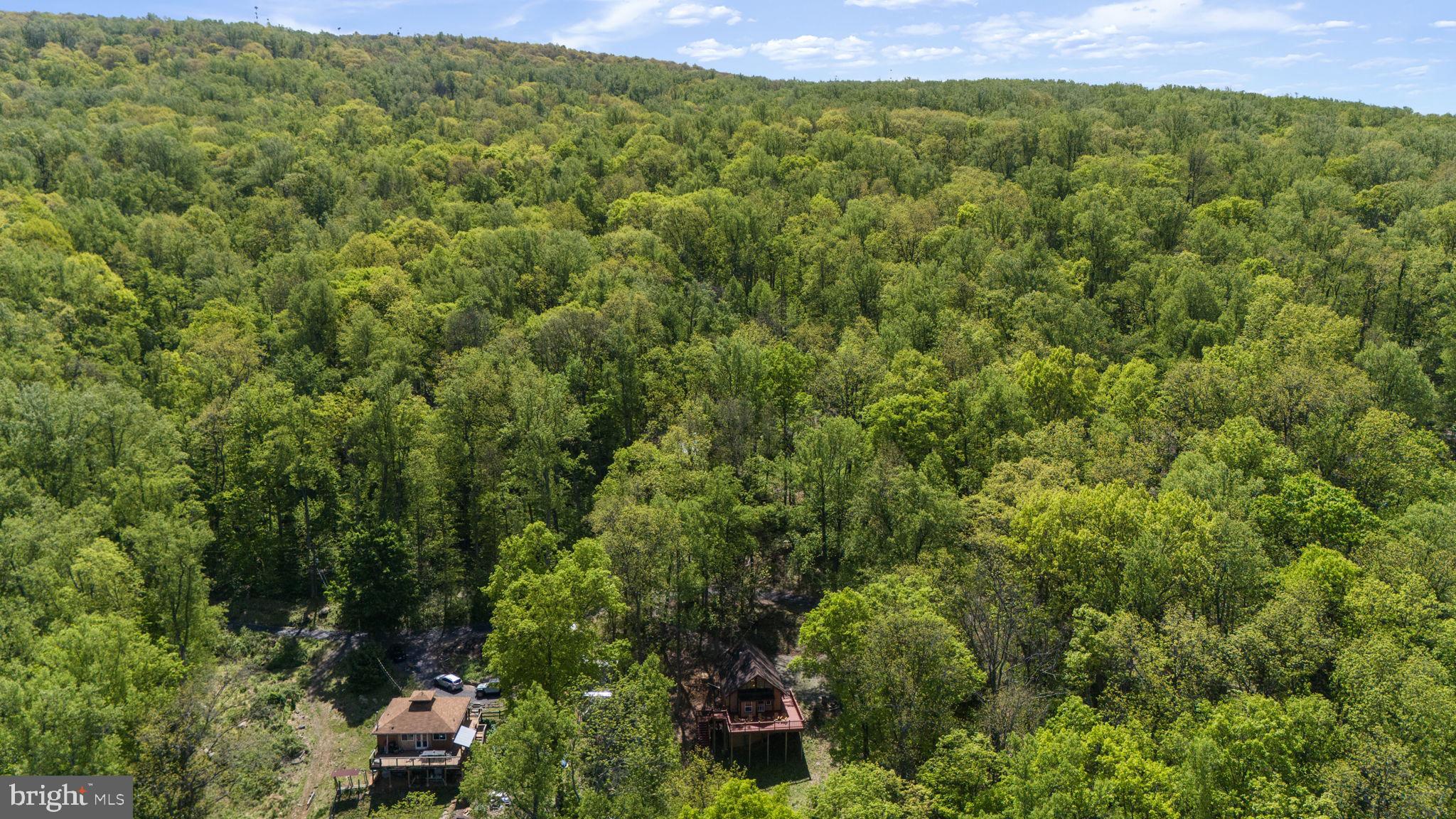 BLUE MOUNTAIN - Residential
