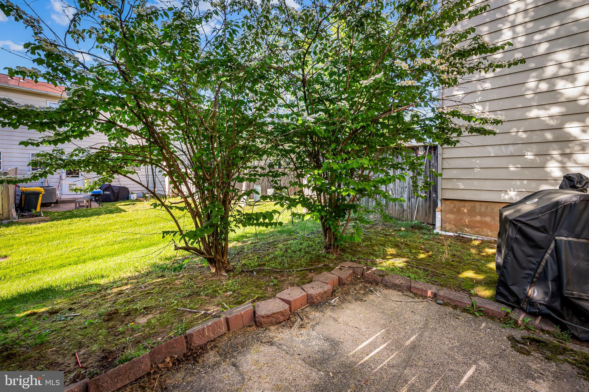 ELVATON TOWNE CONDO - Residential