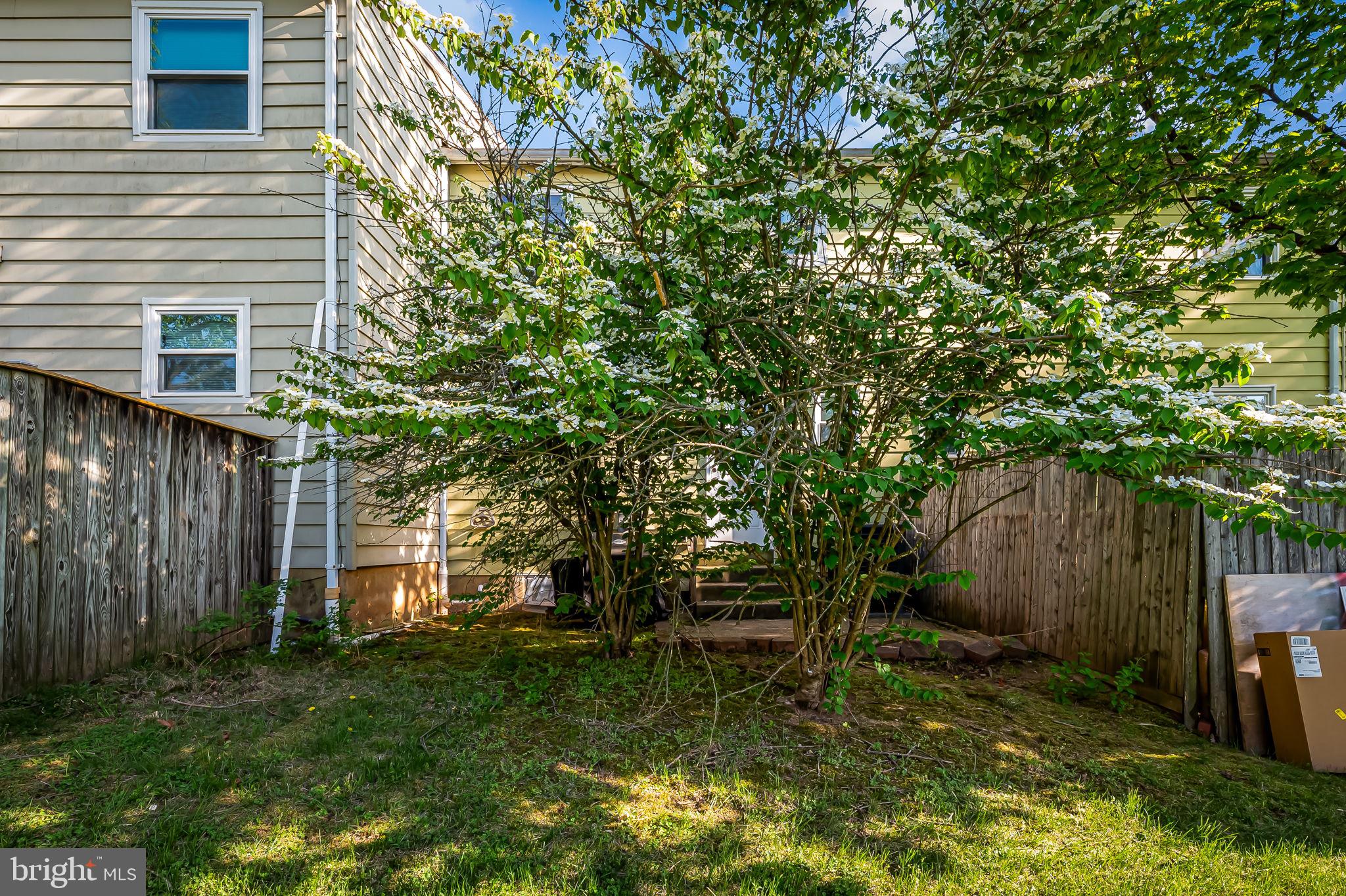 ELVATON TOWNE CONDO - Residential