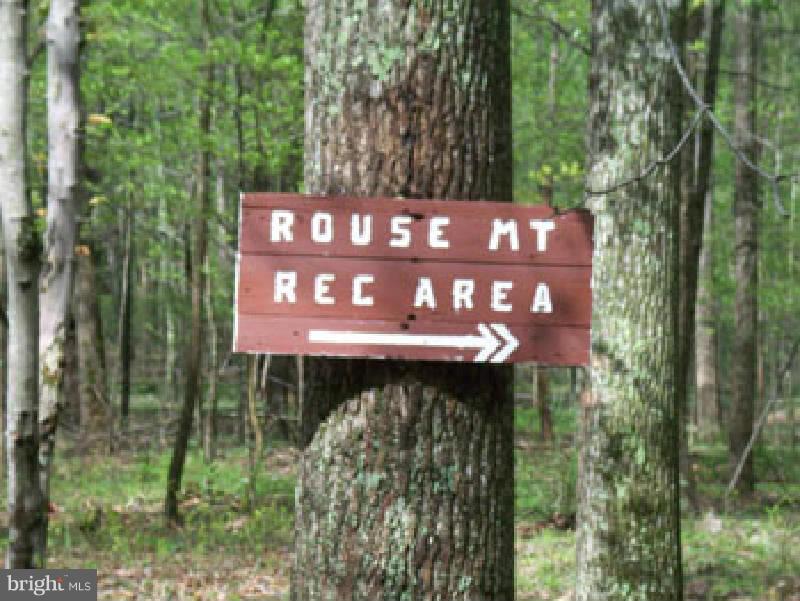 ROUSE MOUNTAIN - Residential