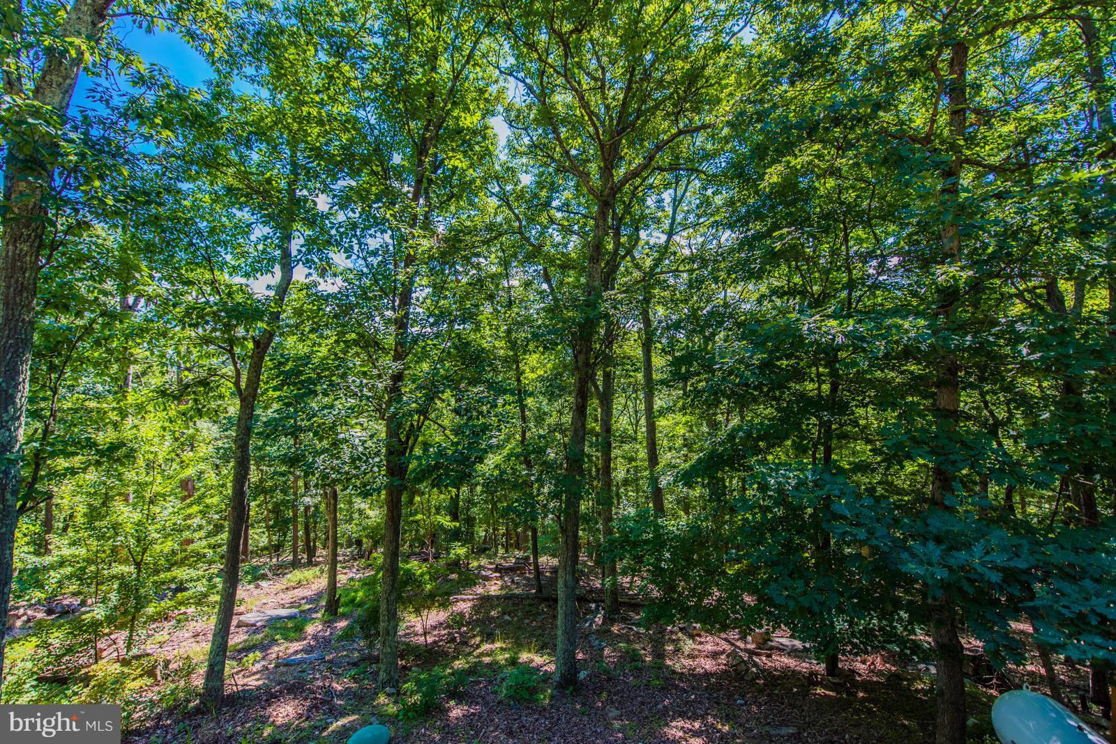 ROUSE MOUNTAIN - Residential