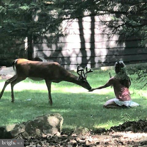 SPLIT ROCK - Residential