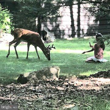 SPLIT ROCK - Residential