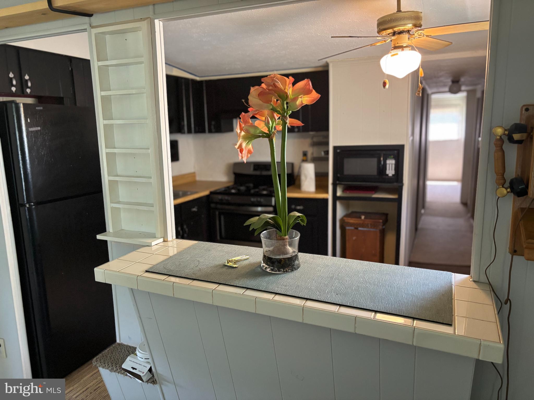 CAPON BRIDGE - Residential