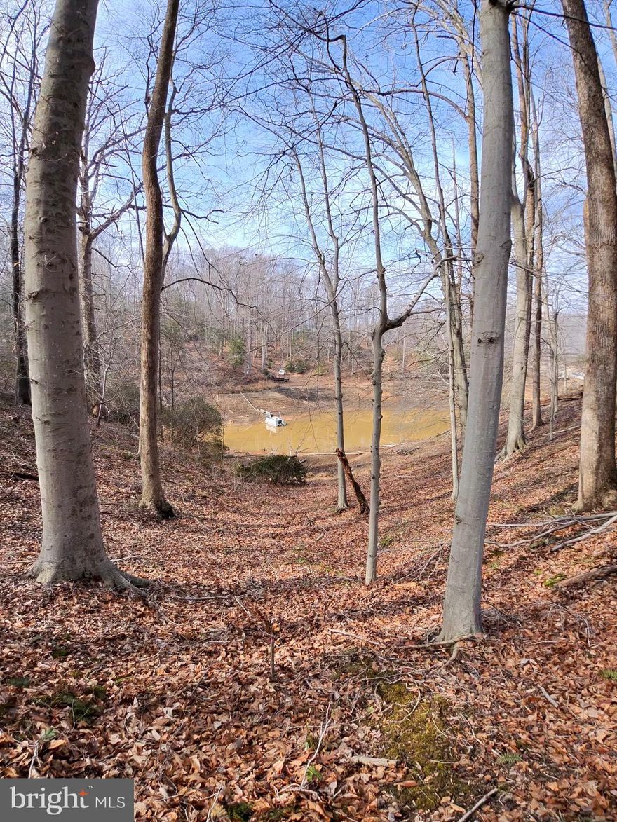 🌲 Lakefront Investment Opportunity – Build Your Dream Cabin + Income-Producing Potential 💰
Welcome to Independence Lake.

Escape to the perfect blend of nature, privacy, and income potential with this beautiful lakefront parcel. Nestled in a serene setting with direct water access, this property is an ideal canvas for your dream cabin or vacation retreat.

Wake up to peaceful water views, spend your days fishing, kayaking, or simply relaxing by the shore, and enjoy breathtaking sunsets right from your future porch. With ample space to build, this lot offers flexibility for a cozy getaway or a high-demand short-term rental.

✨ Highlights: