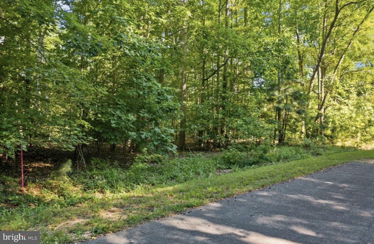 STRATFORD HARBOUR - Land