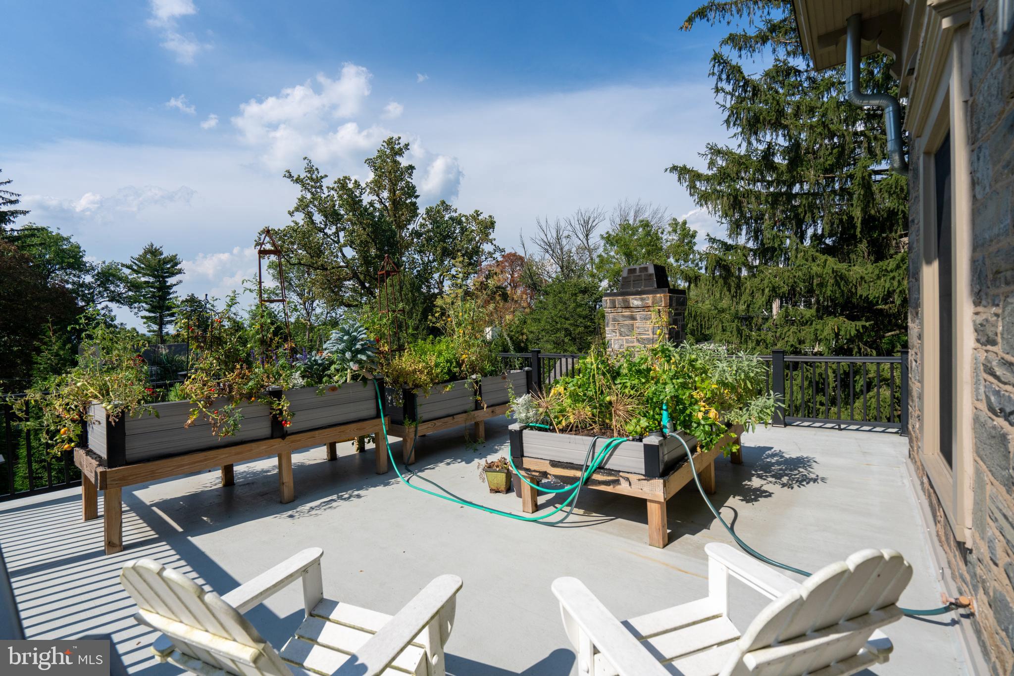 CHESTNUT HILL - Residential