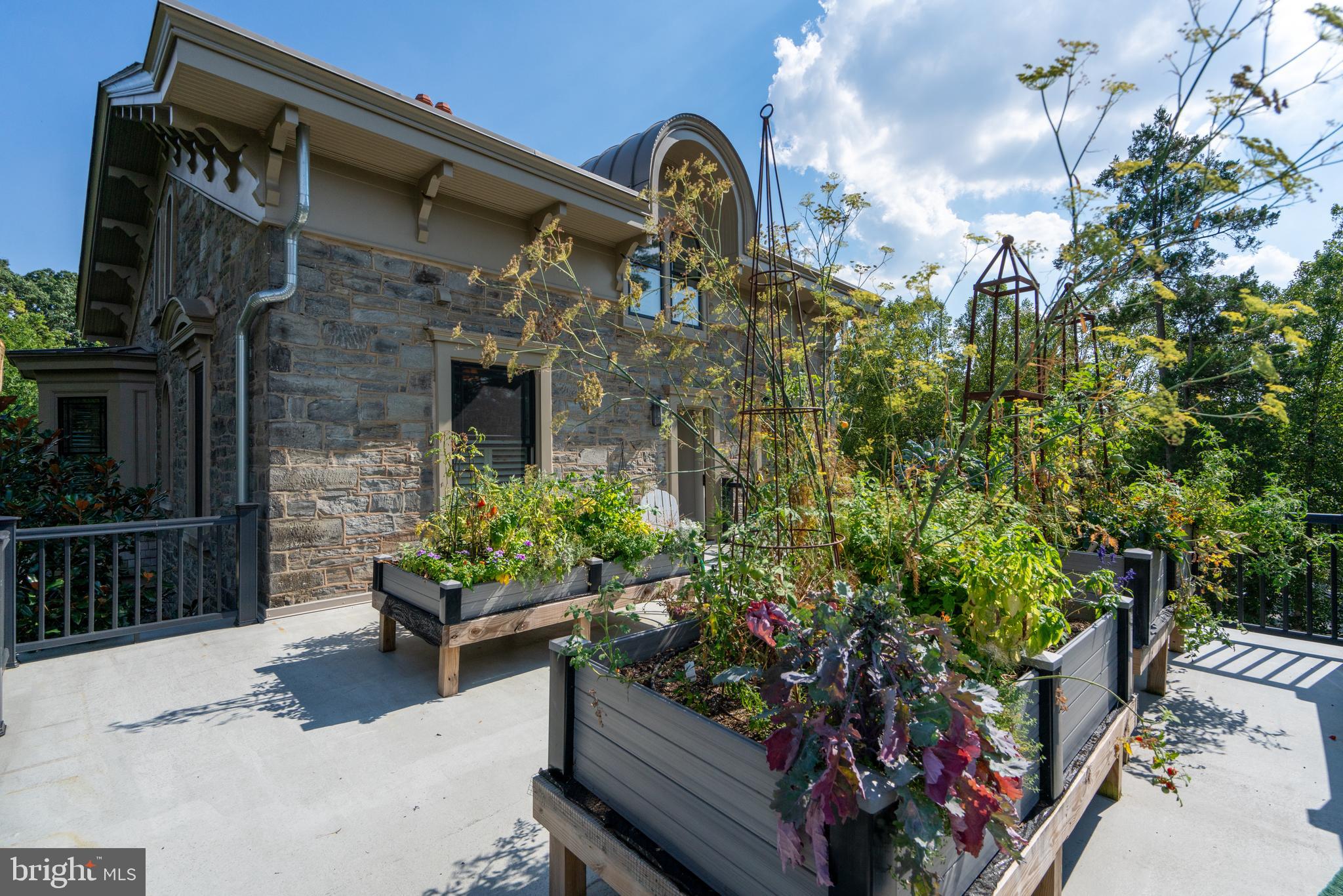 CHESTNUT HILL - Residential