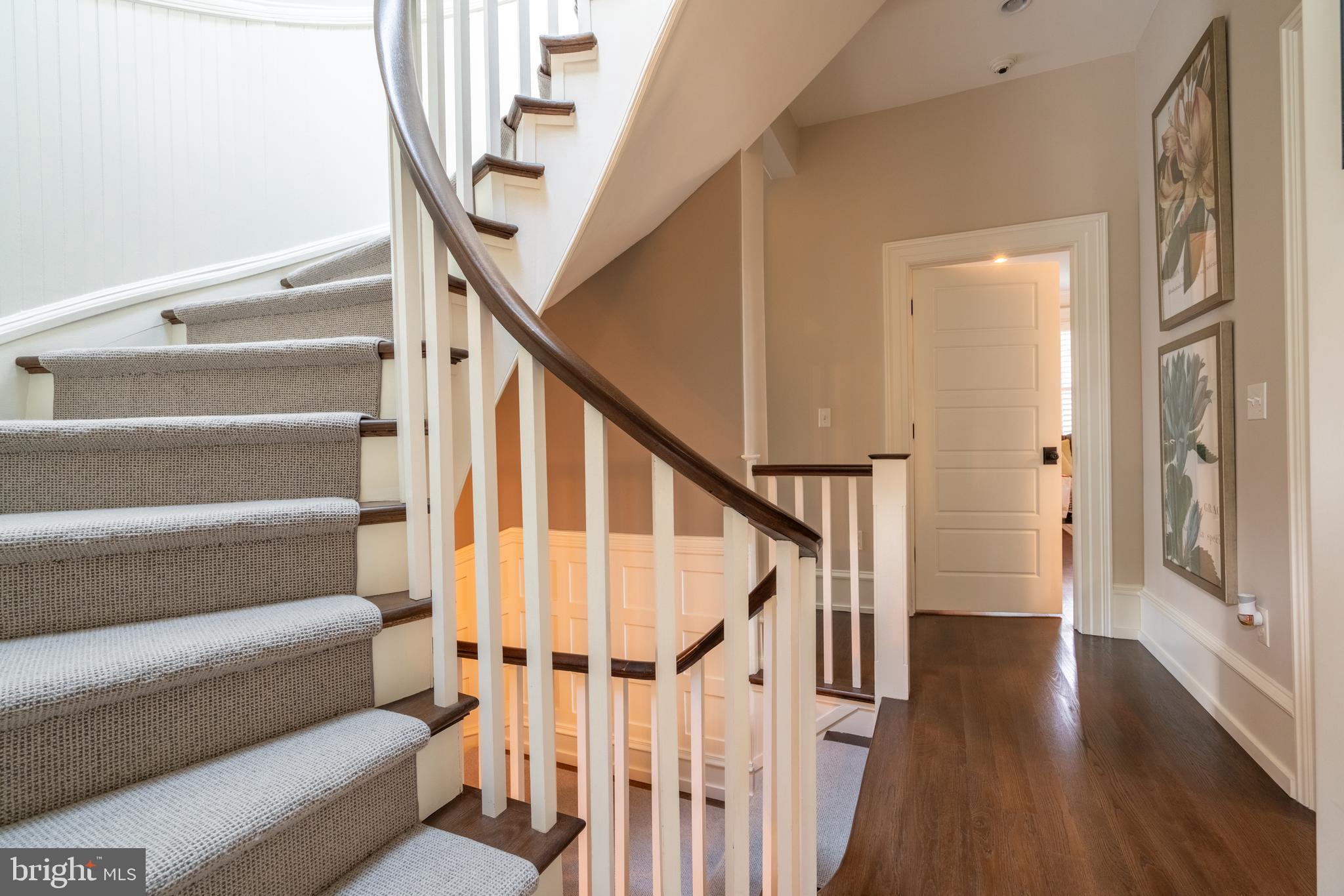 CHESTNUT HILL - Residential