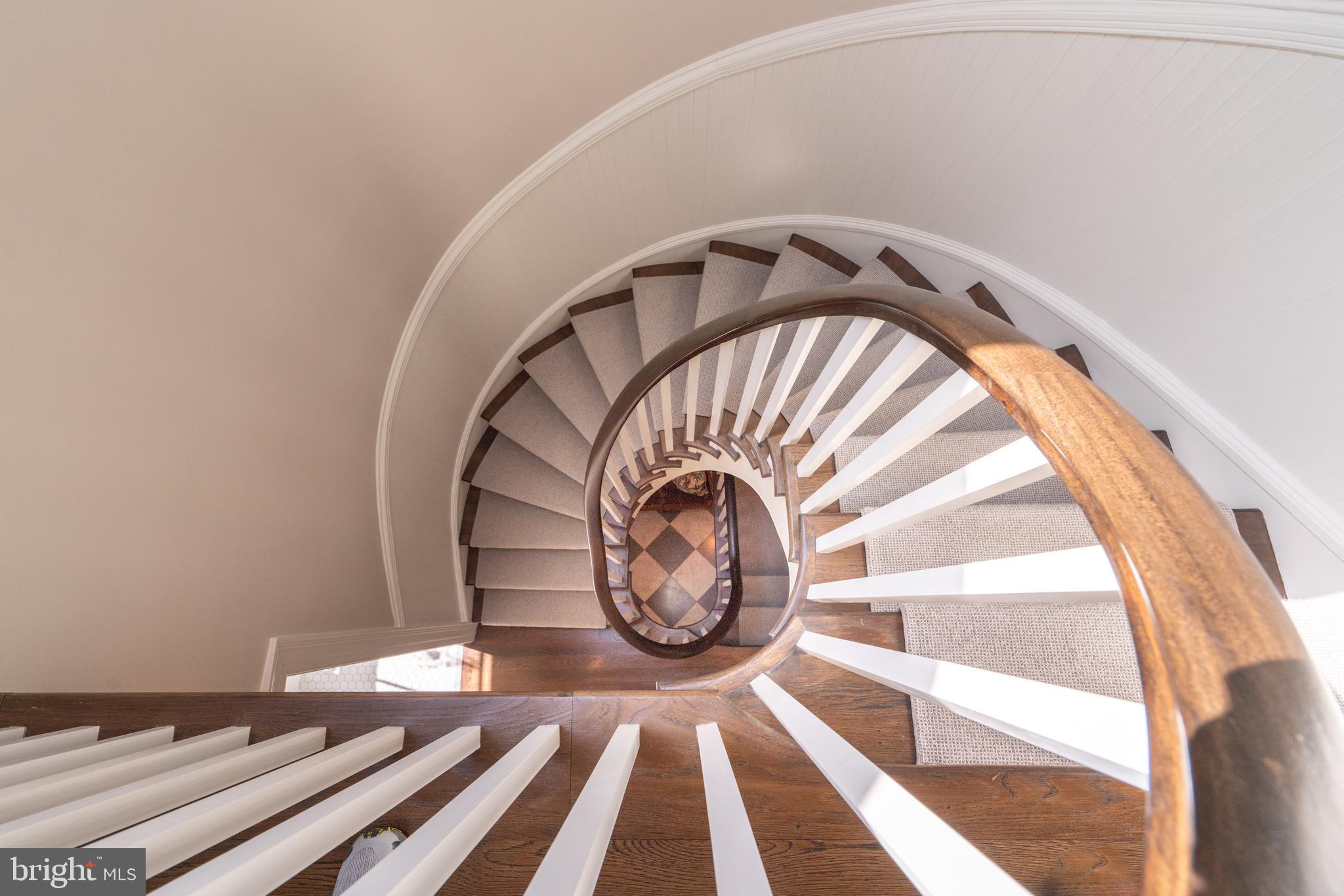 CHESTNUT HILL - Residential