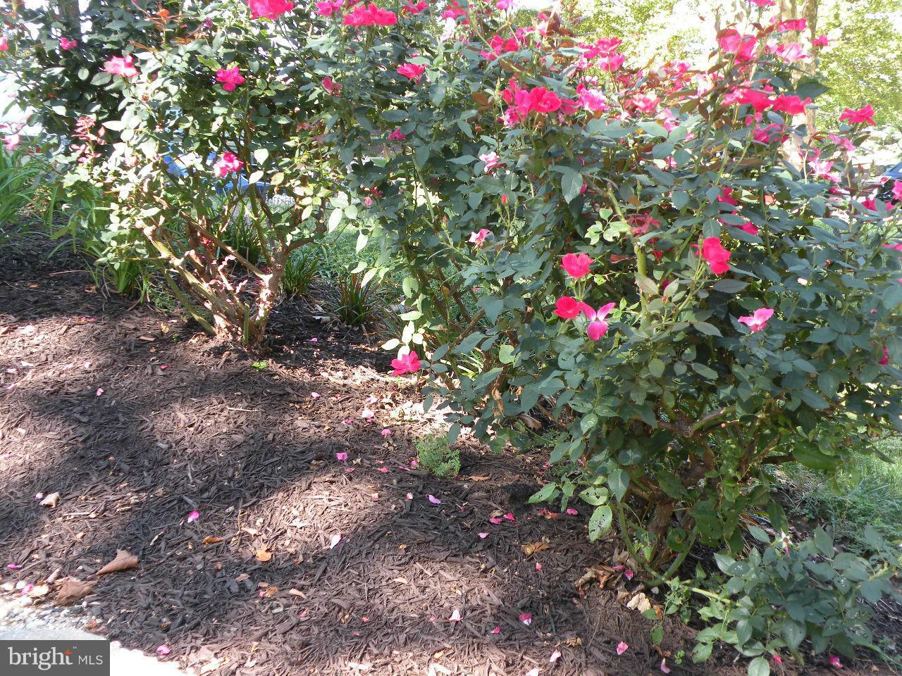 VILLAGE OF LONG REACH - Residential