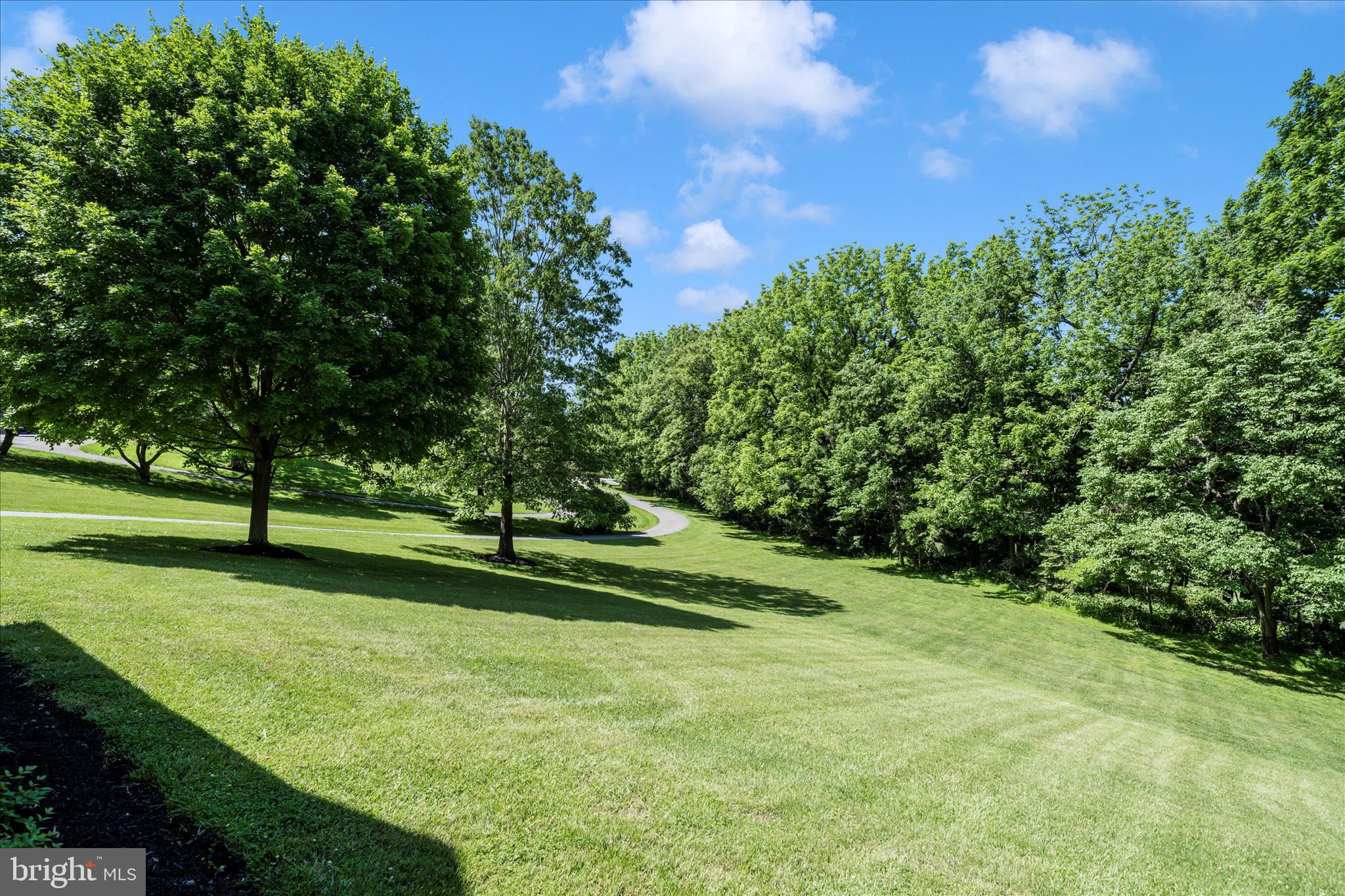 SPRINGDALE - Residential